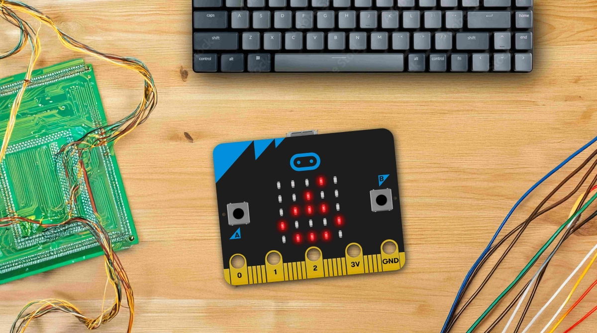 Leer programmeren met Micro:bit (8+)